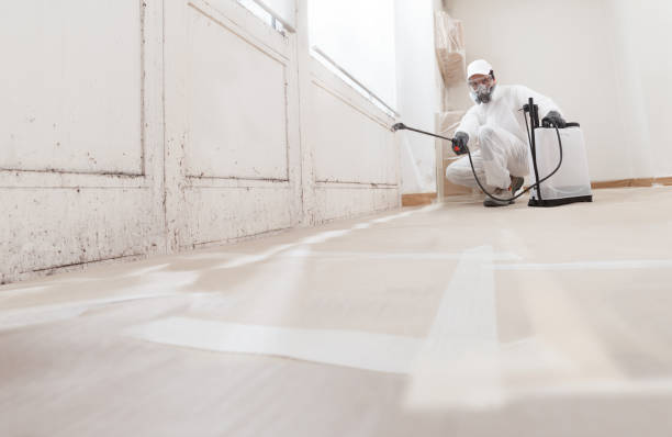 24/7 Emergency Commercial Mold Remediation experts in Long Branch, VA