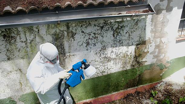 Top rated local Commercial Mold Remediation specialists in Long Branch, VA